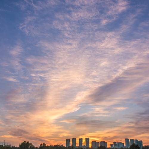 Photo #12534463