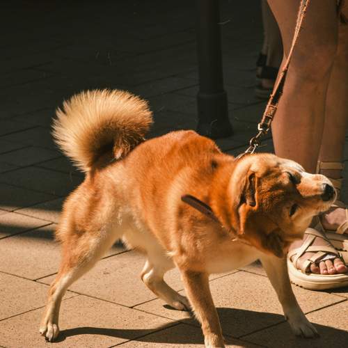 Photo #12534539