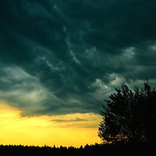 Photo #12534545