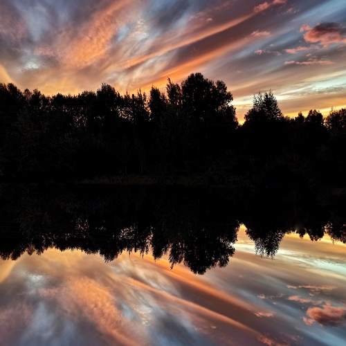 Photo #12534599