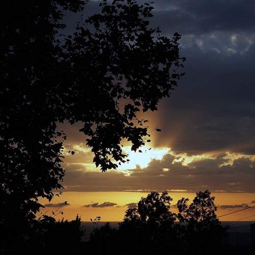 Photo #12534850