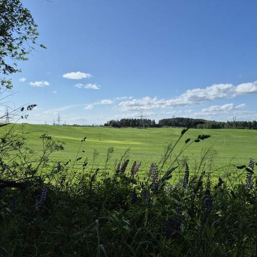 Photo #12534953