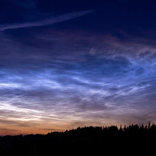 Photo #12535098