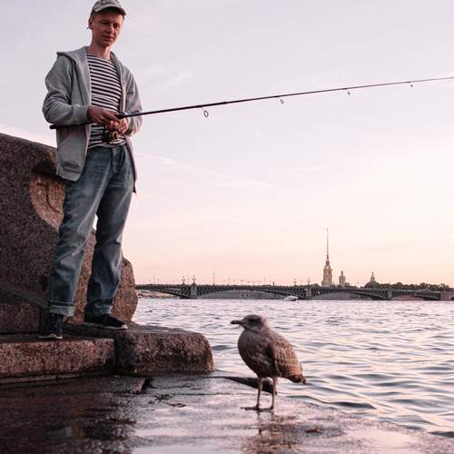 Photo #12535165