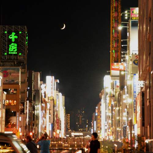 Photo #12535168
