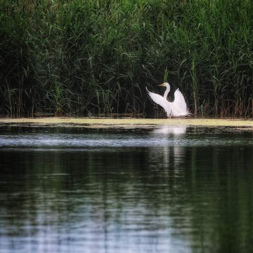 Photo #12535256