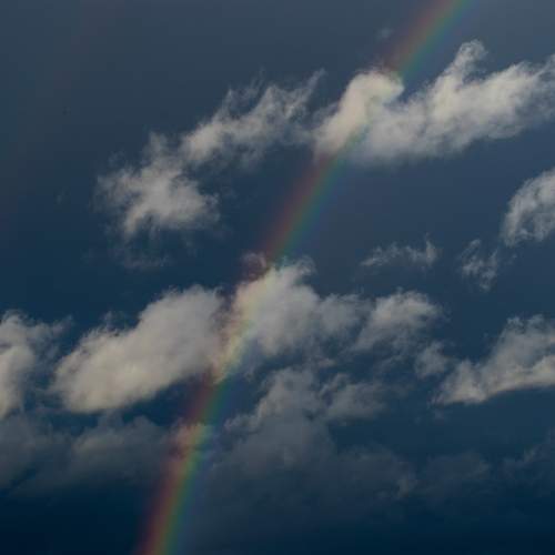 Photo #12535283