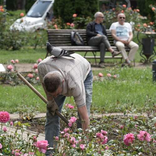 Photo #12535337