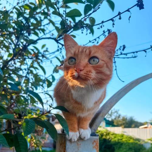 Photo #12535342