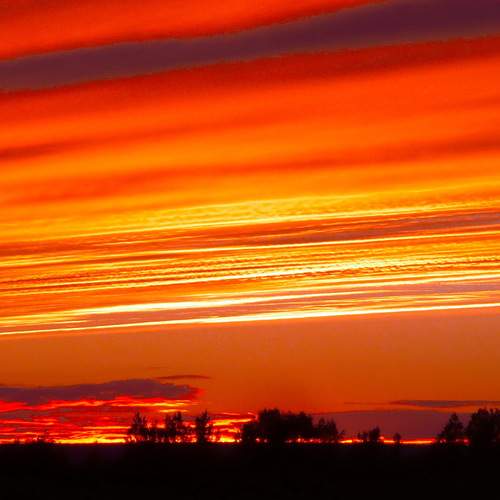 Photo #12535496