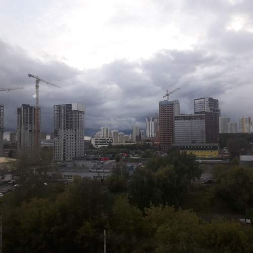 Photo #12535521