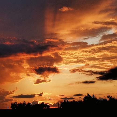 Photo #12535711