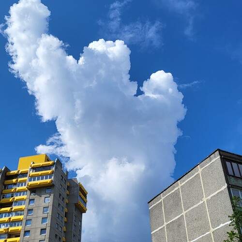 Photo #12535913