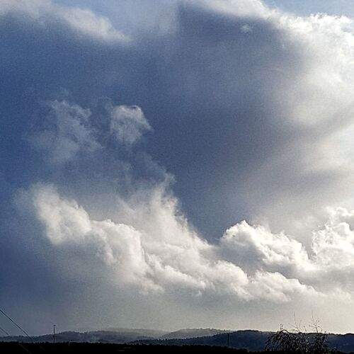 Photo #12535945
