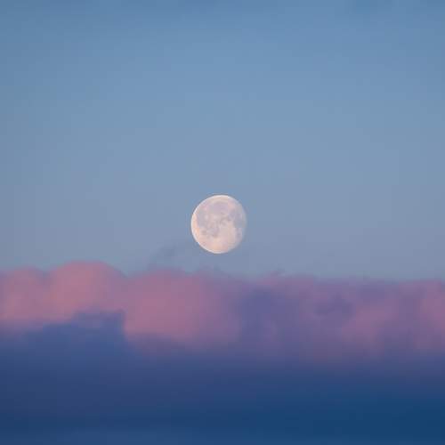 Photo #12536145