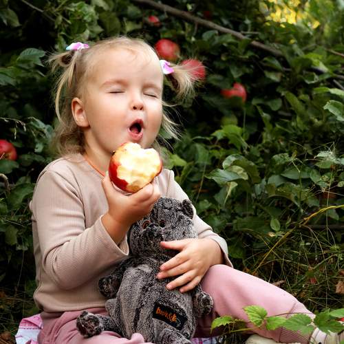 Photo #12536189