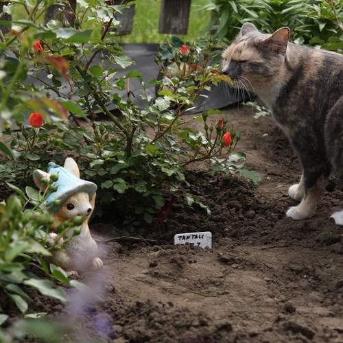 Photo #12536481