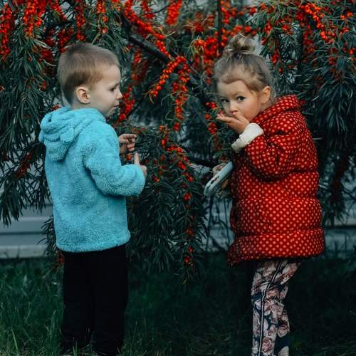 Photo #12536488