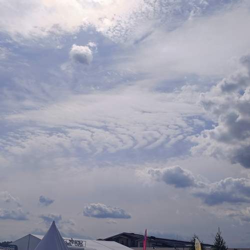 Photo #12536505