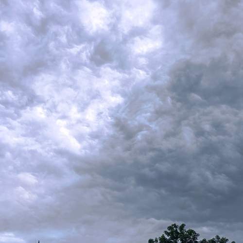 Photo #12536506