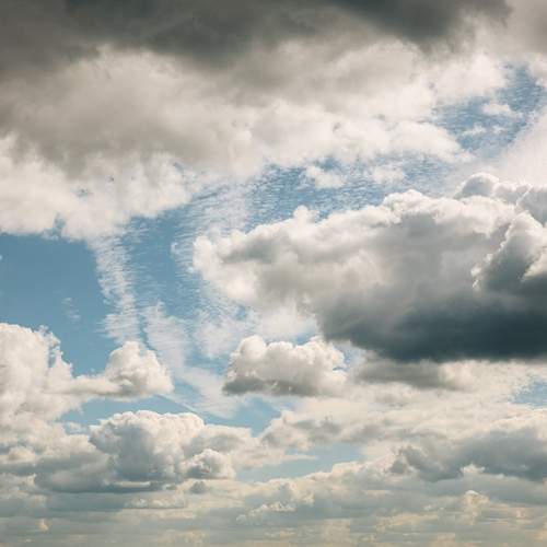 Photo #12536534