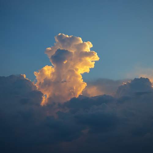 Photo #12536541