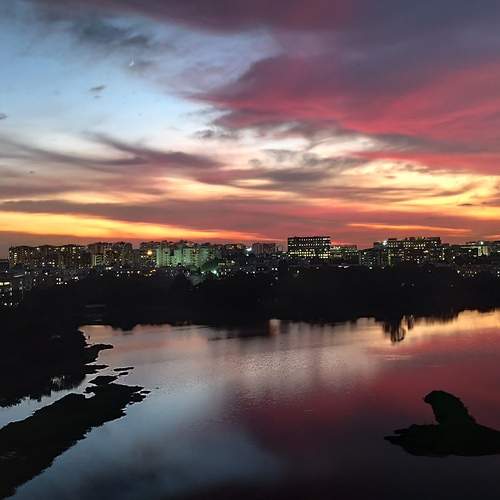 Photo #12536617