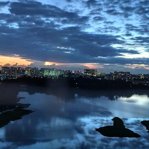 Photo #12536629