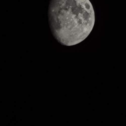 Photo #12536708