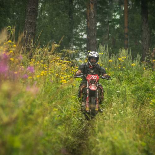 Photo #12536739