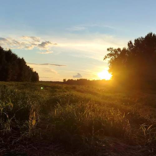 Photo #12536928