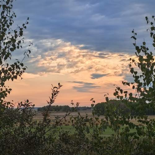 Photo #12537022
