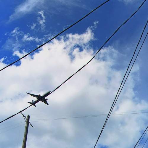 Photo #12537082