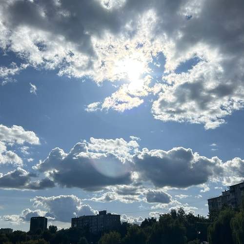 Photo #12537141