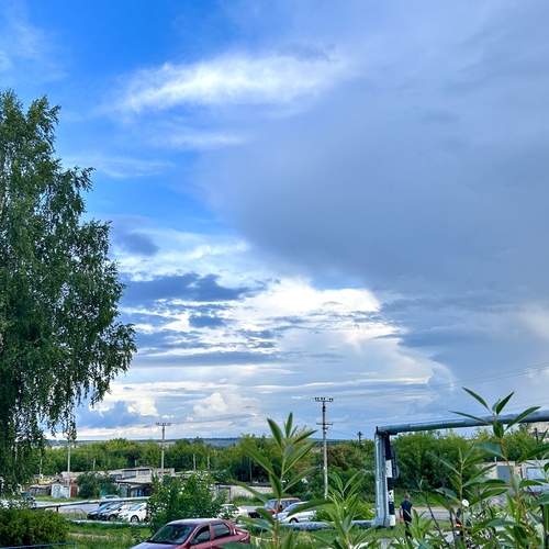 Photo #12537142