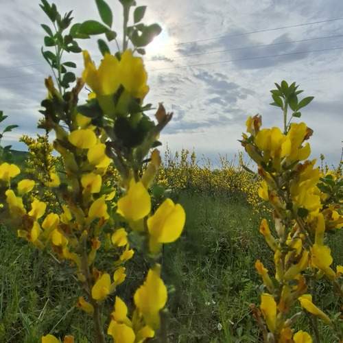 Photo #12537168