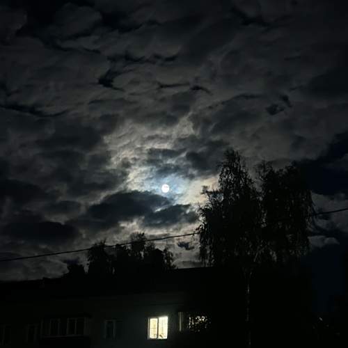 Photo #12537181