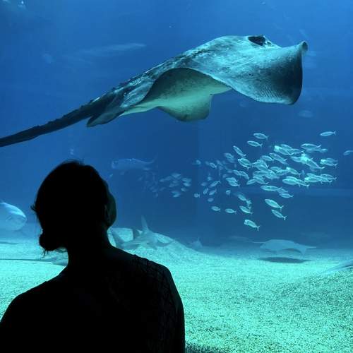 Photo #12537187