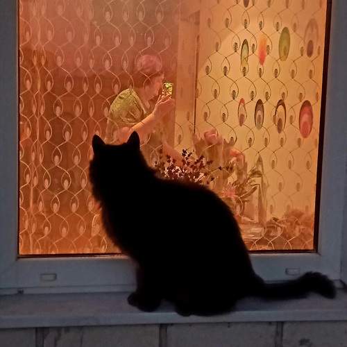 Photo #12537213
