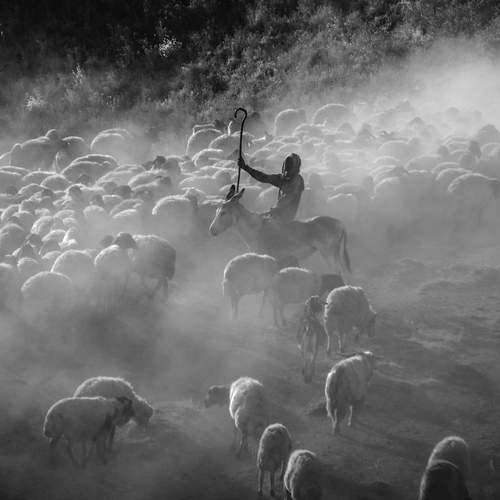 Photo #12537272