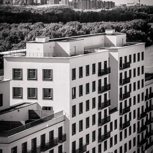 Photo #12537392