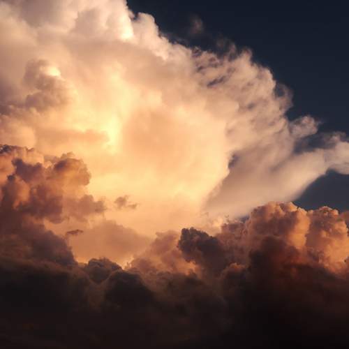 Photo #12537437