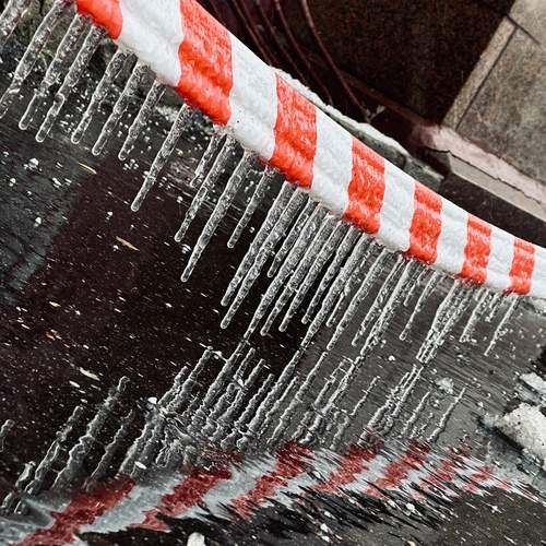 Photo #12537574