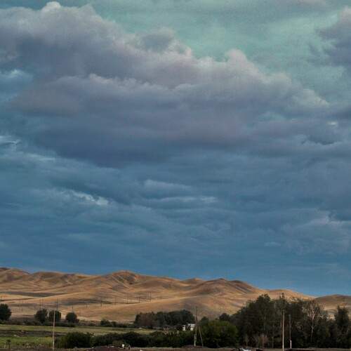 Photo #12537700