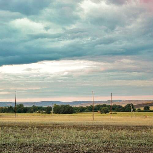 Photo #12537703