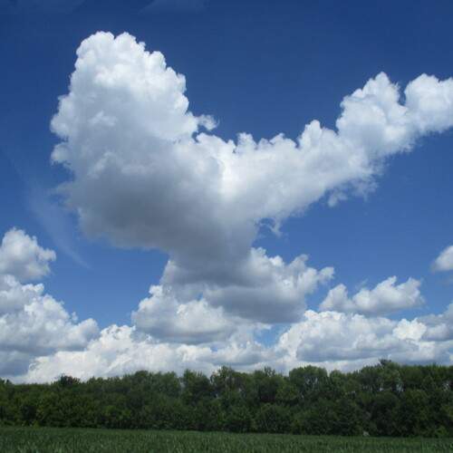 Photo #12537746