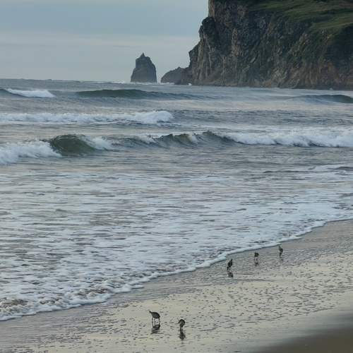 Photo #12537792