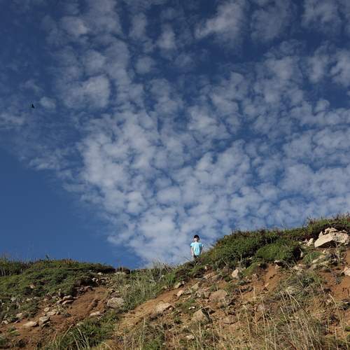 Photo #12537797