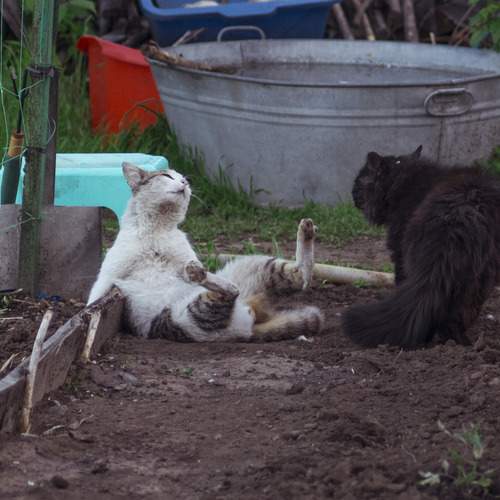 Photo #12537834