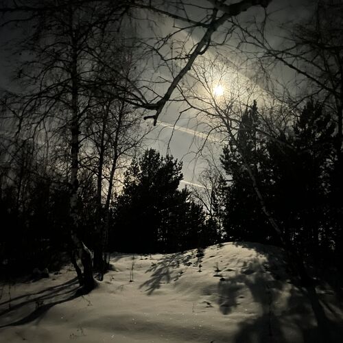 Photo #12537933